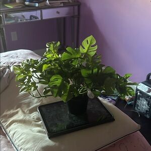 Artificial Green Monstera Plant in Black Pot